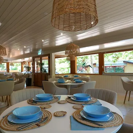 Balaton Colors 希欧福克