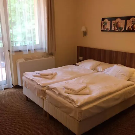 酒店 Balaton Colors 希欧福克