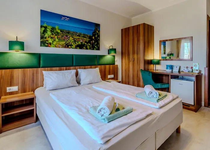 מלון Balaton Colors 3*