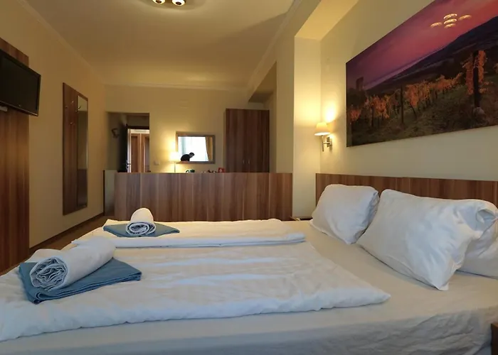 Balaton Colors מלון